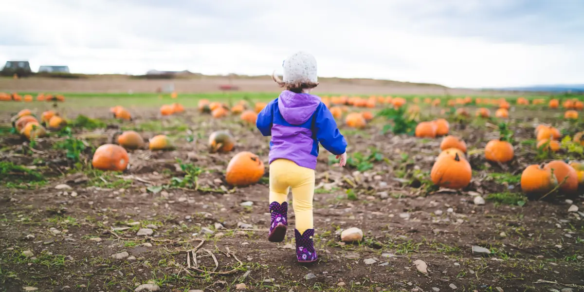 Little girl running through a pumpkin patch