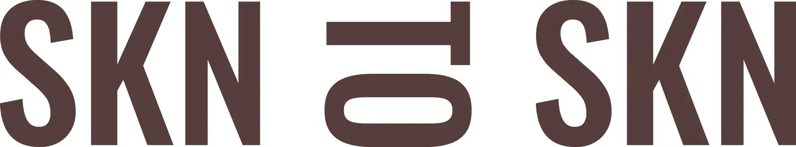 SKN TO SKN logo