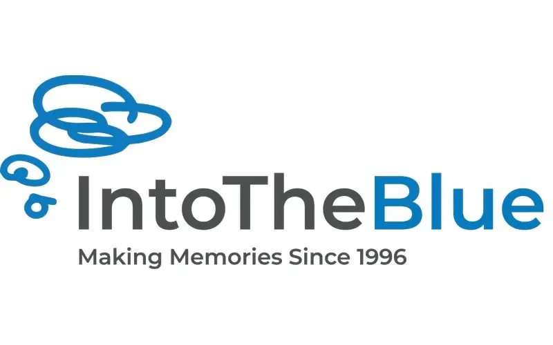 Into The Blue logo