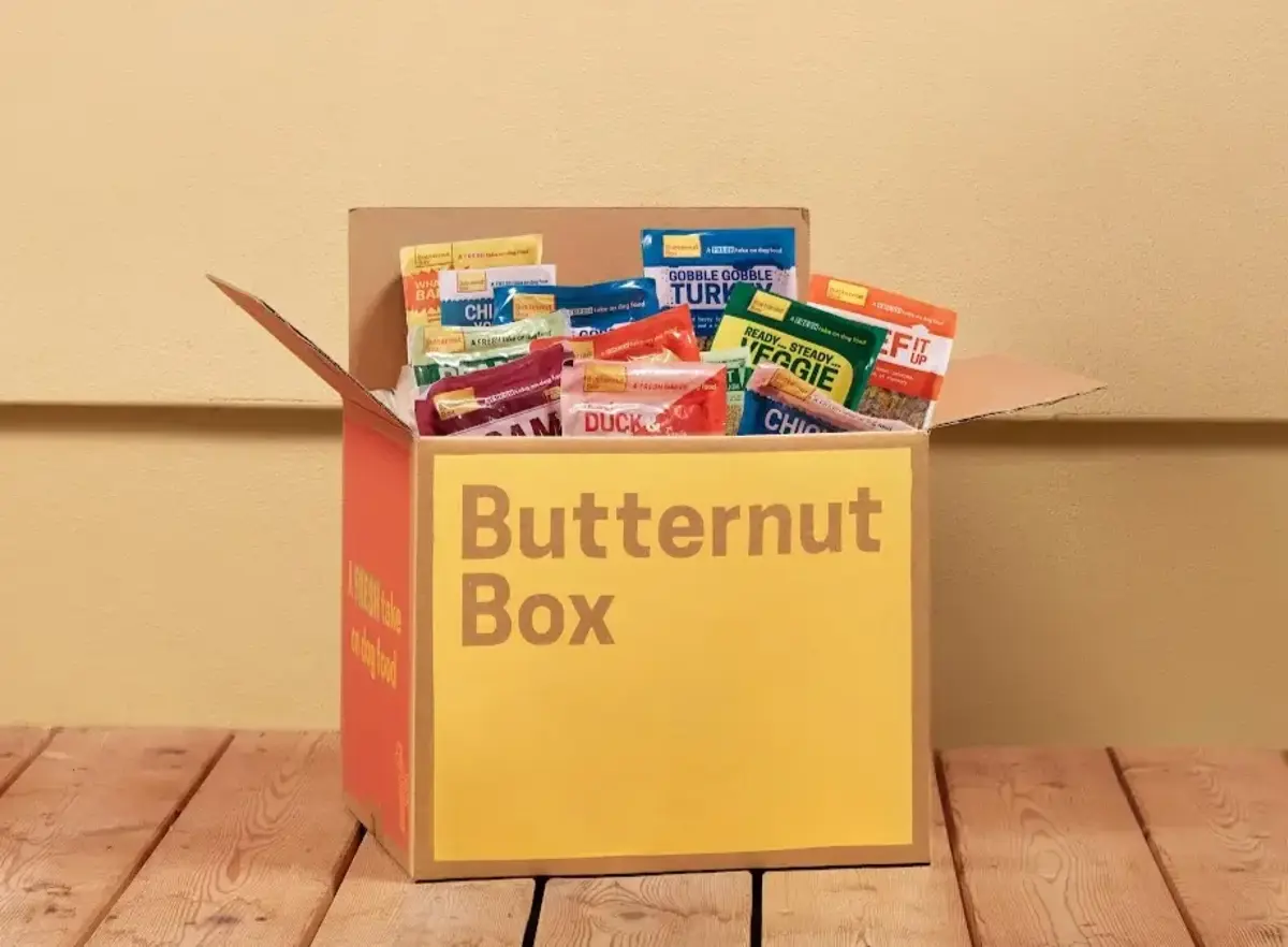 A Butternut Box of fresh dog food